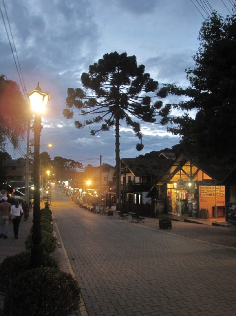 monte verde