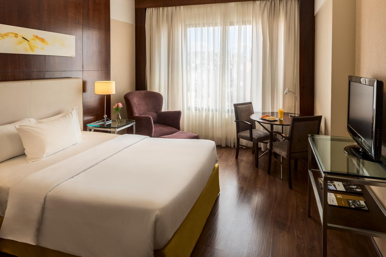 Mercure Lourdes
